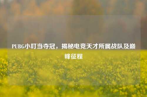 PUBG小叮当夺冠，揭秘电竞天才所属战队及巅峰征程