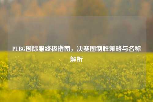 PUBG国际服终极指南，决赛圈制胜策略与名称解析