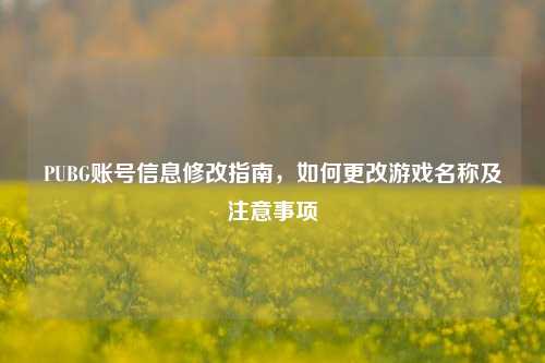 PUBG账号信息修改指南，如何更改游戏名称及注意事项