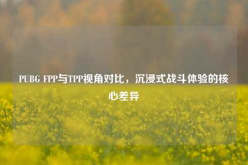 PUBG FPP与TPP视角对比，沉浸式战斗体验的核心差异