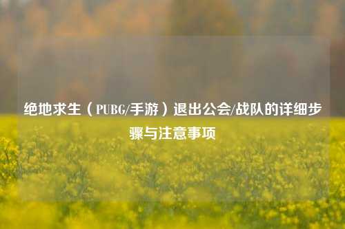 绝地求生（PUBG/手游）退出公会/战队的详细步骤与注意事项