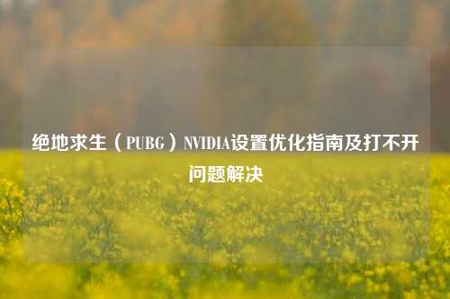 绝地求生（PUBG）NVIDIA设置优化指南及打不开问题解决