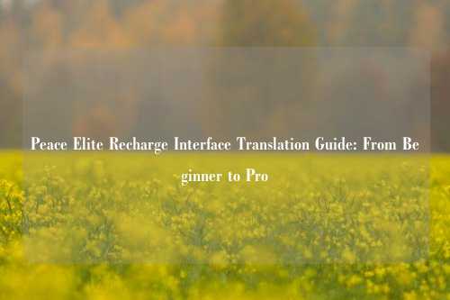 Peace Elite Recharge Interface Translation Guide: From Beginner to Pro