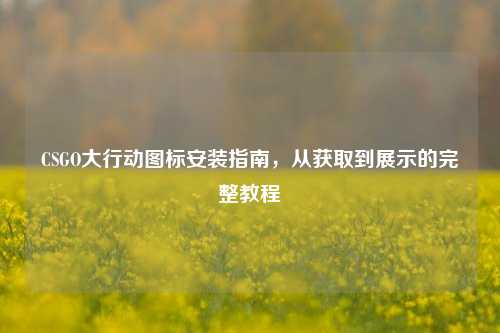 CSGO大行动图标安装指南，从获取到展示的完整教程