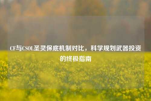 CF与CSOL圣灵保底机制对比，科学规划武器投资的终极指南