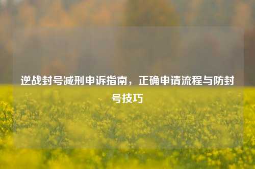 逆战封号减刑申诉指南，正确申请流程与防封号技巧