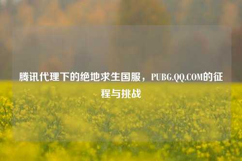 腾讯     下的绝地求生国服，PUBG.     .COM的征程与挑战
