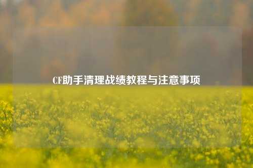 CF助手清理战绩教程与注意事项