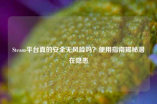 Steam平台真的安全无风险吗？使用指南揭秘潜在隐患