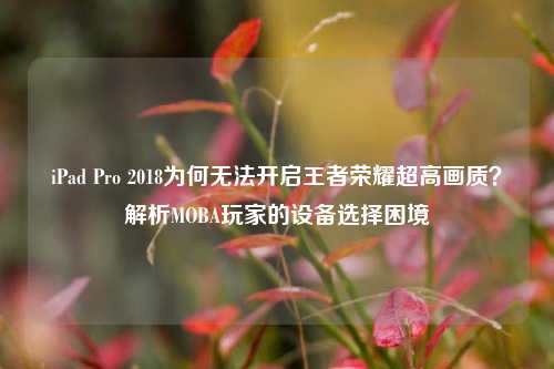 iPad Pro 2018为何无法开启王者荣耀超高画质？解析MOBA玩家的设备选择困境