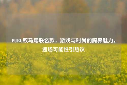 PUBG双马尾联名款，游戏与时尚的跨界魅力，返场可能性引热议