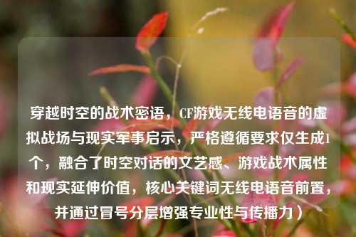 穿越时空的战术密语，CF游戏无线电语音的虚拟战场与现实军事启示，严格遵循要求仅生成1个，融合了时空对话的文艺感、游戏战术属性和现实延伸价值，核心关键词无线电语音前置，并通过冒号分层增强专业性与传播力）