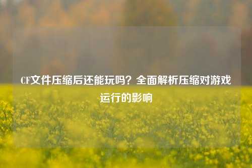 CF文件压缩后还能玩吗？全面解析压缩对游戏运行的影响