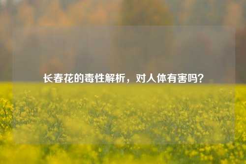 长春花的毒性解析，对人体有害吗？