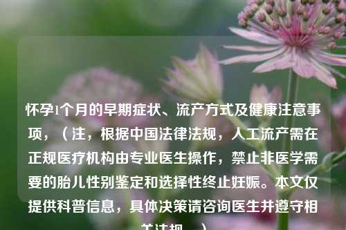 怀孕1个月的早期症状、流产方式及健康注意事项，（注，根据中国法律法规，人工流产需在正规医疗机构由专业医生操作，禁止非医学需要的胎儿性别鉴定和选择性终止妊娠。本文仅提供科普信息，具体决策请咨询医生并遵守相关法规。）