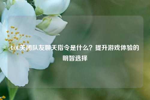 LOL关闭队友聊天指令是什么？提升游戏体验的明智选择
