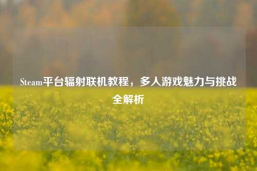 Steam平台辐射联机教程，多人游戏魅力与挑战全解析