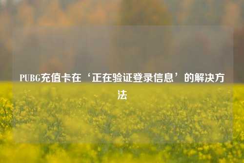 PUBG充值卡在‘正在验证登录信息’的解决     