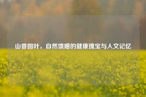 山香圆叶，自然馈赠的健康瑰宝与人文记忆