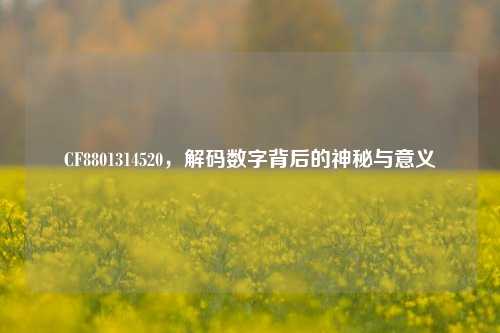 CF8801314520，解码数字背后的神秘与意义