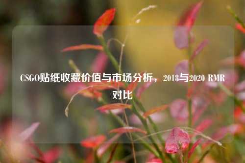 CSGO贴纸收藏价值与市场分析，2018与2020 RMR对比