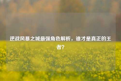 逆战风暴之城最强角色解析，谁才是真正的王者？