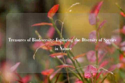 Treasures of Biodiversity: Exploring the Diversity of Species in Nature