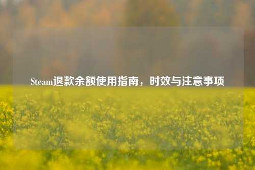 Steam退款余额使用指南，时效与注意事项