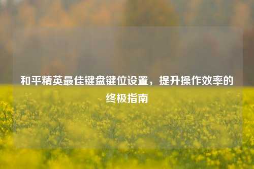和平精英更佳键盘键位设置，提升操作效率的终极指南
