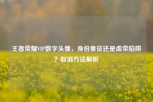 王者荣耀VIP数字头像，身份象征还是虚荣陷阱？取消     解析