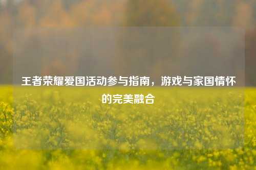 王者荣耀爱国活动参与指南，游戏与家国情怀的完美融合