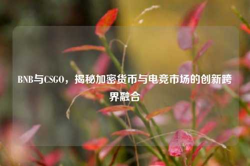 BNB与CSGO，揭秘加密货币与电竞市场的创新跨界融合