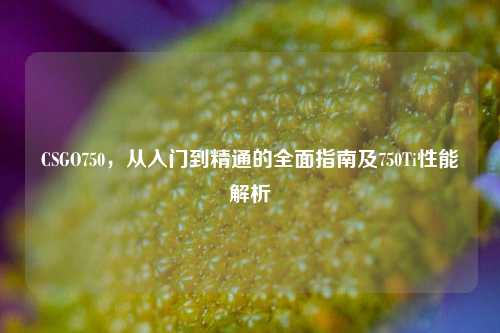 CSGO750，从入门到精通的全面指南及750Ti性能解析