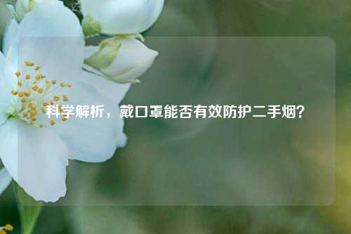 科学解析，戴口罩能否有效防护二手烟？