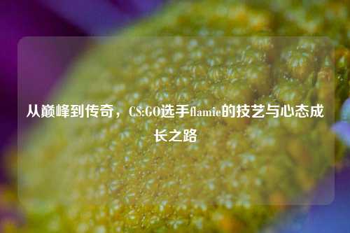 从巅峰到传奇，CS:GO选手flamie的技艺与心态成长之路