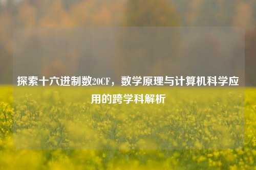 探索十六进制数20CF，数学原理与计算机科学应用的跨学科解析