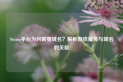 Steam平台为何需要域名？解析游戏服务与域名的关联