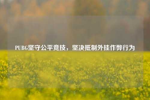 PUBG坚守公平竞技，坚决     外挂作弊行为