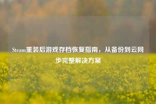 Steam重装后游戏存档恢复指南，从备份到云同步完整解决方案