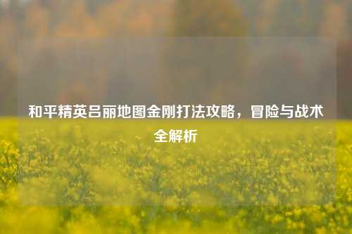 和平精英吕丽地图金刚打法攻略，冒险与战术全解析