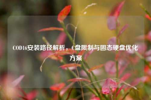 COD16安装路径解析，C盘限制与固态硬盘优化方案