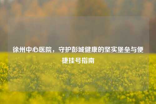 徐州中心医院，守护彭城健康的坚实堡垒与便捷挂号指南