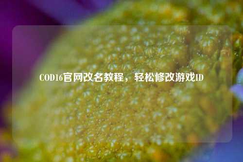 COD16官网改名教程，轻松修改游戏ID