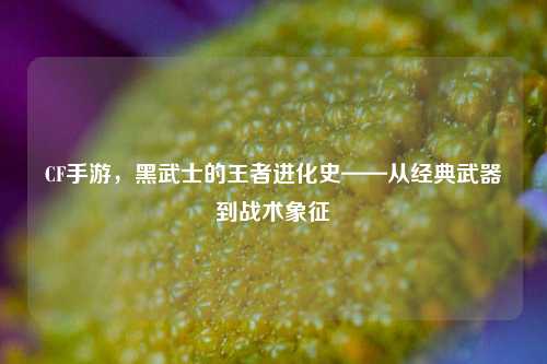 CF手游，黑武士的王者进化史——从经典武器到战术象征