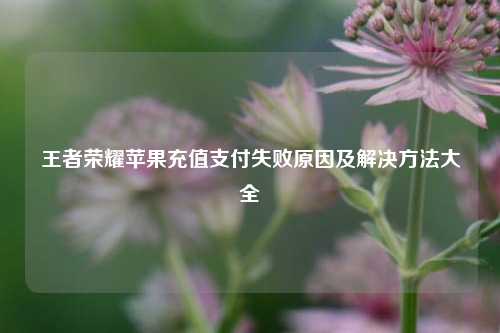 王者荣耀苹果充值支付失败原因及解决     大全