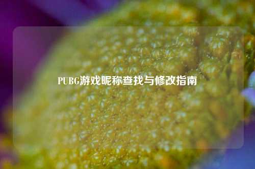 PUBG游戏昵称查找与修改指南