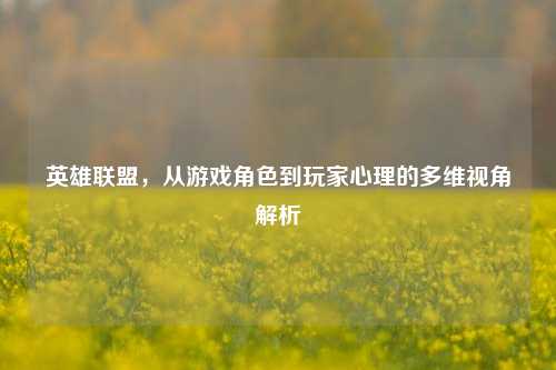 英雄联盟，从游戏角色到玩家心理的多维视角解析