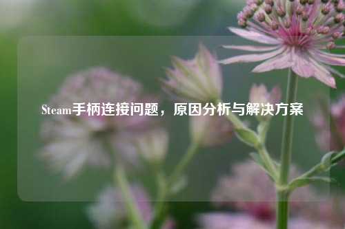 Steam手柄连接问题，原因分析与解决方案
