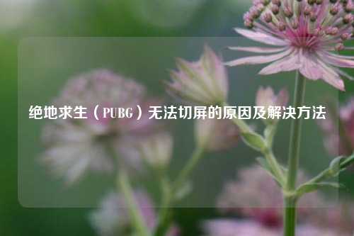 绝地求生（PUBG）无法切屏的原因及解决     