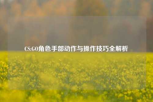 CS:GO角色手部动作与操作技巧全解析